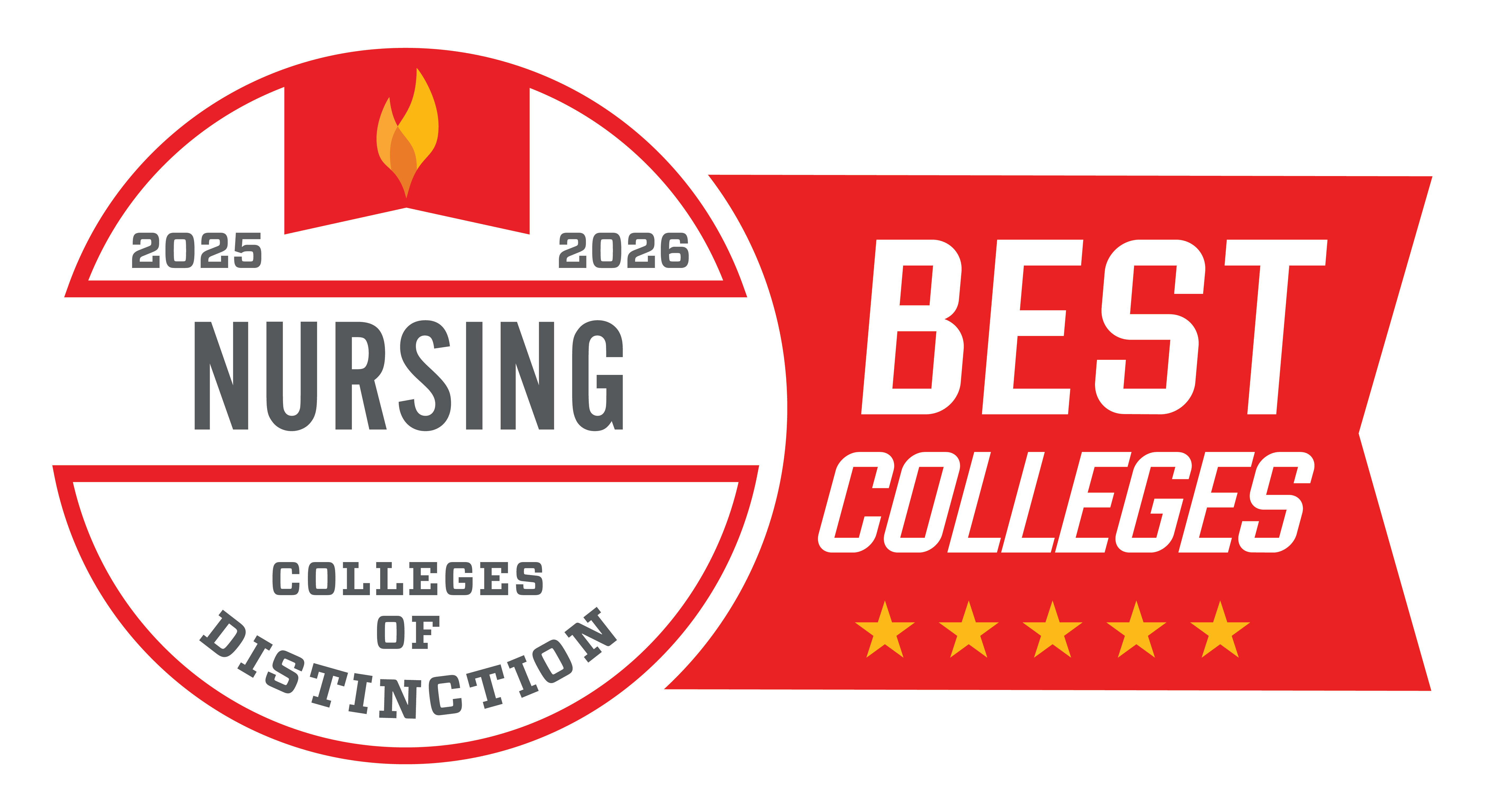 college of distiction nursing college badge