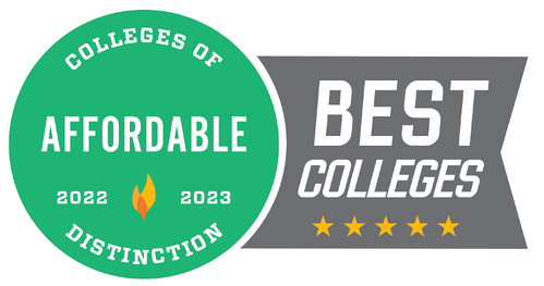 affordable recognition icon