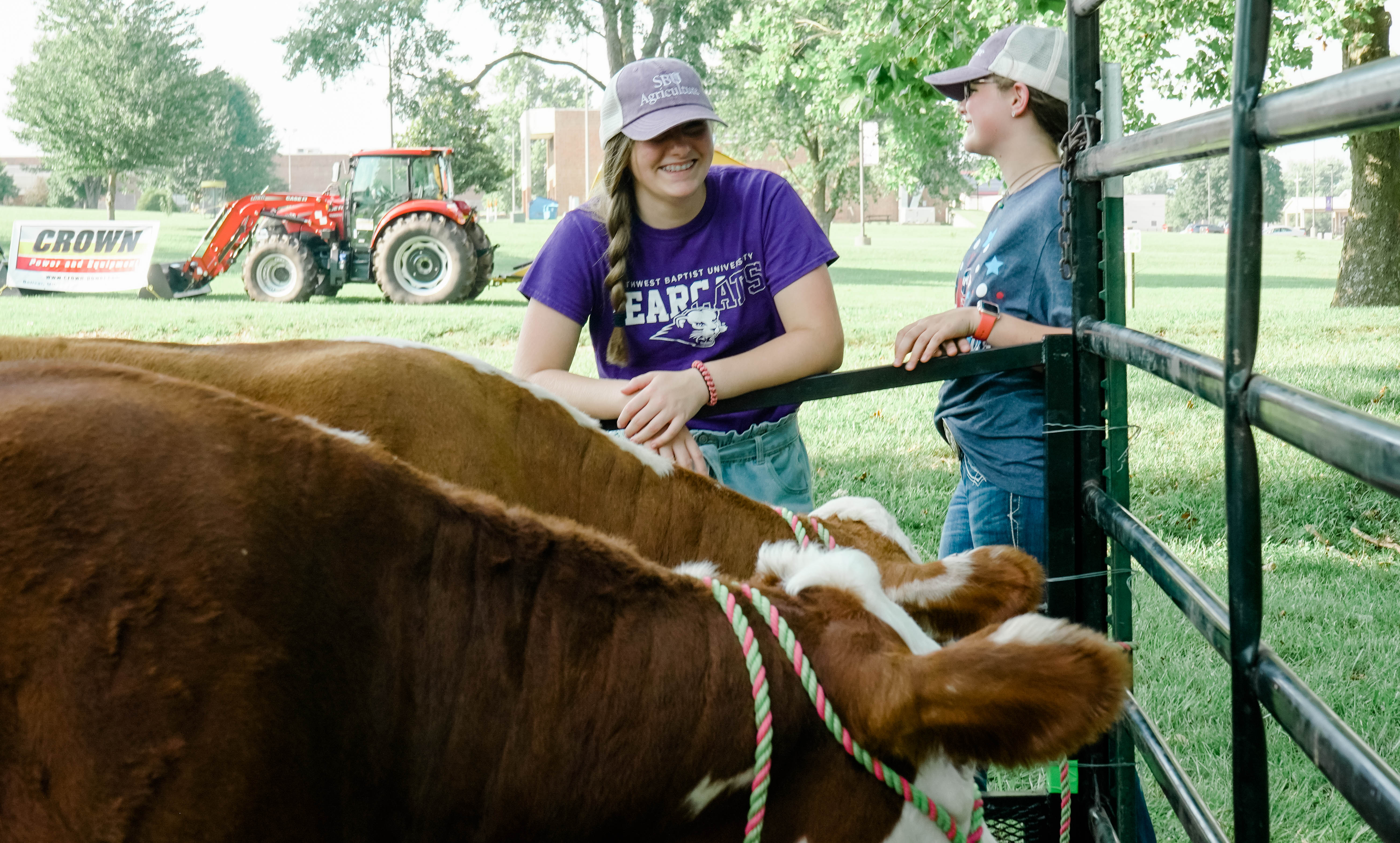 Young girls looking at cattle