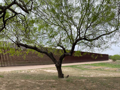 Fence at the U.S./Mexico border