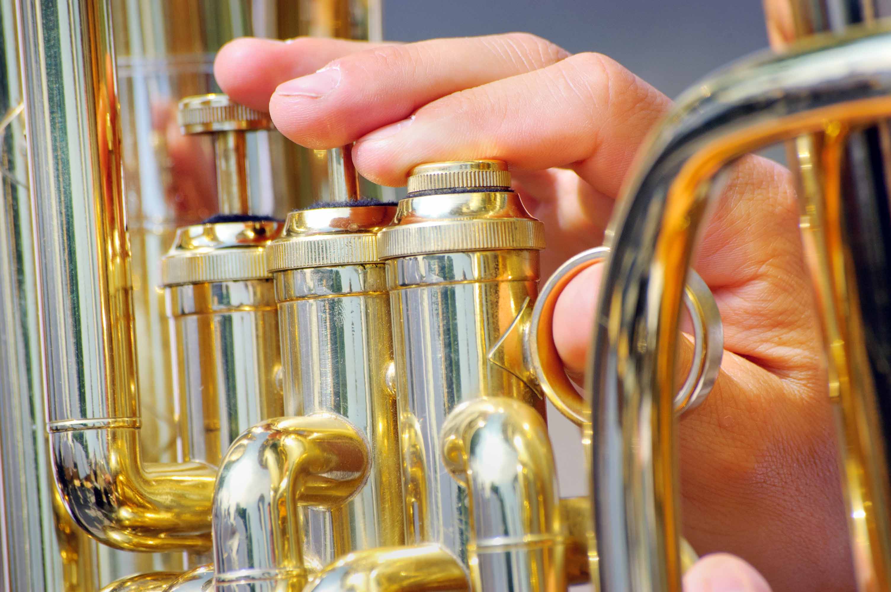SBU professor Dr. Terri Knupps will perform on euphonium March 8