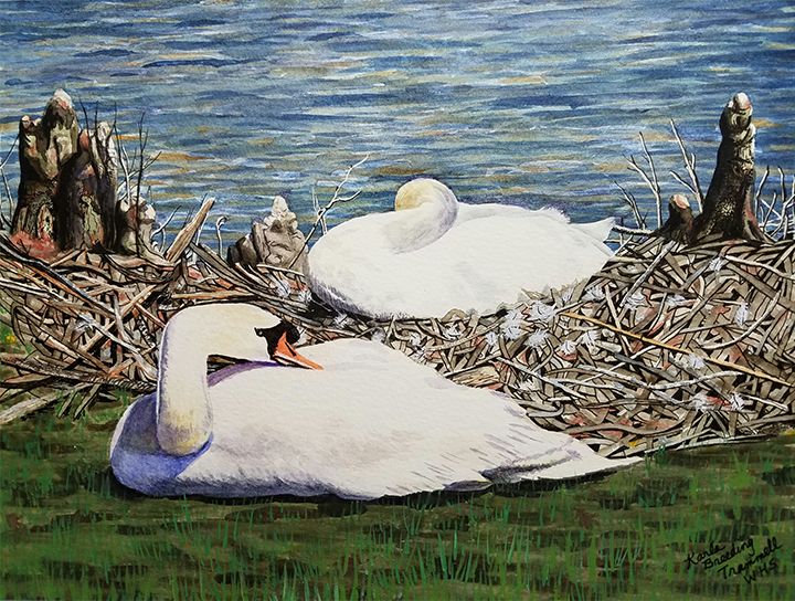 sbu.trammell.exhibit