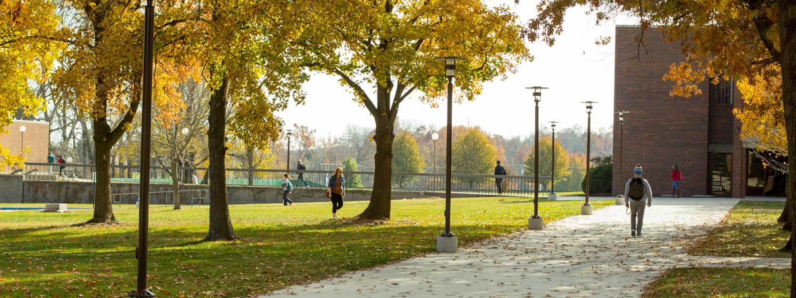 students talking as they walk on campus with fall leaves in background
