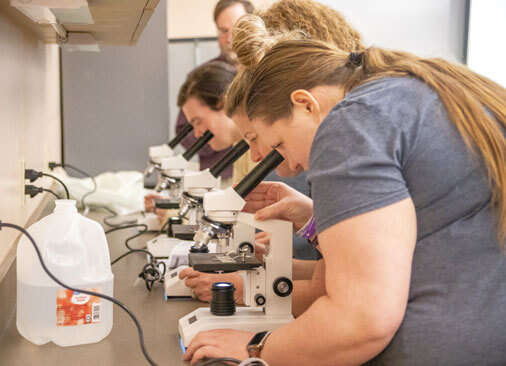 students looking through microscopes