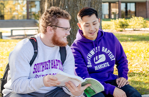 students studying on campus